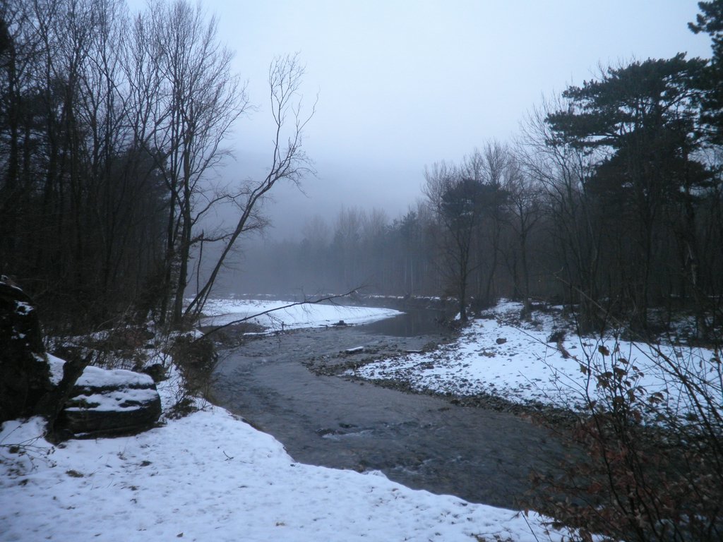 P1080033.JPG