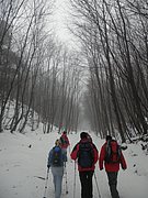 P1080009.JPG