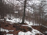 P1080028.JPG