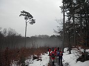 P1080030.JPG