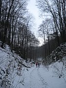 P1080031.JPG