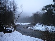 P1080033.JPG