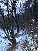 P1080034.JPG