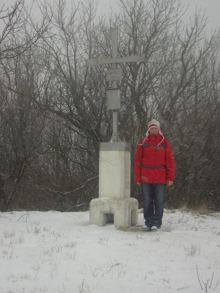CIMG3511.JPG