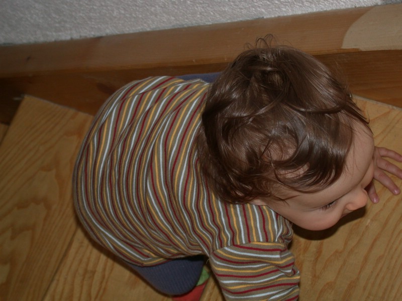 jDSCN1985.JPG