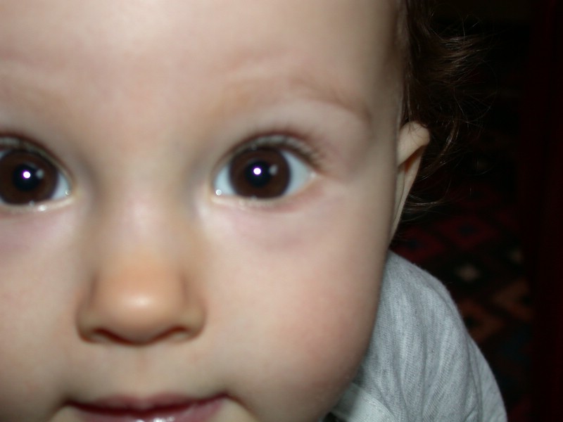 jDSCN2006.JPG