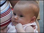 gPict4558.jpg
