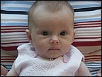 gPict4565.jpg