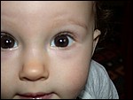 jDSCN2006.JPG