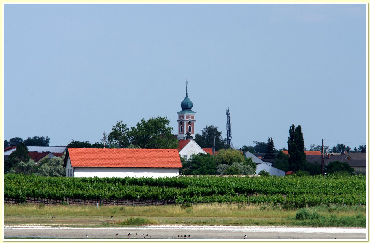 IMGP5675.JPG