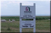 IMGP5362.JPG