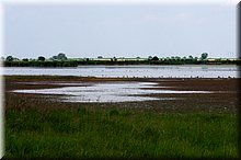IMGP5638.JPG