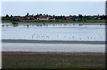 IMGP5662.JPG