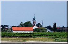 IMGP5675.JPG