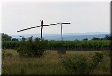 IMGP5731.JPG