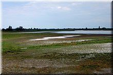 IMGP5740.JPG