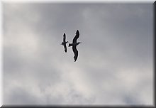 IMGP5882.JPG