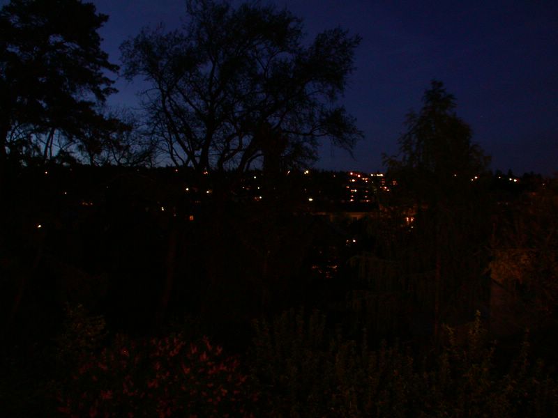 DSCN5199.JPG