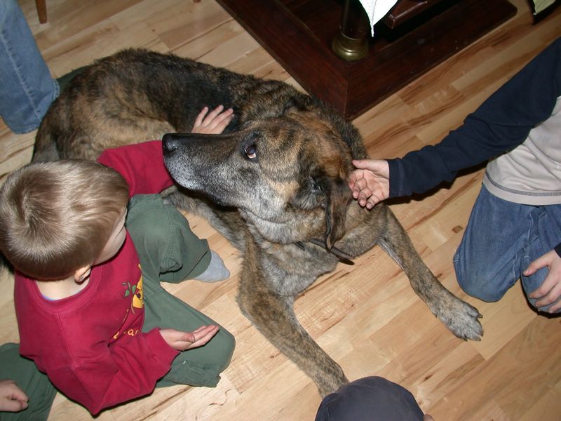 DSCN5216.JPG