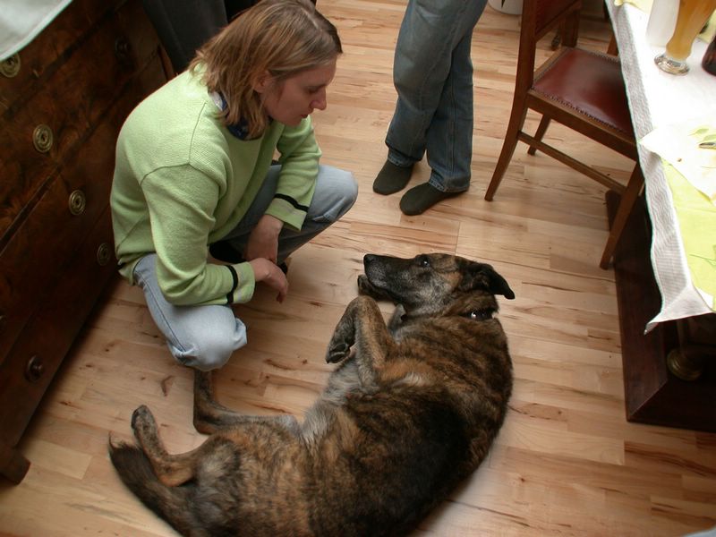 DSCN5221.JPG