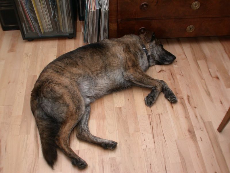 DSCN5270.JPG