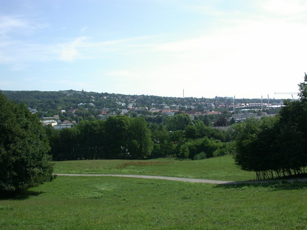DSCN6264.JPG