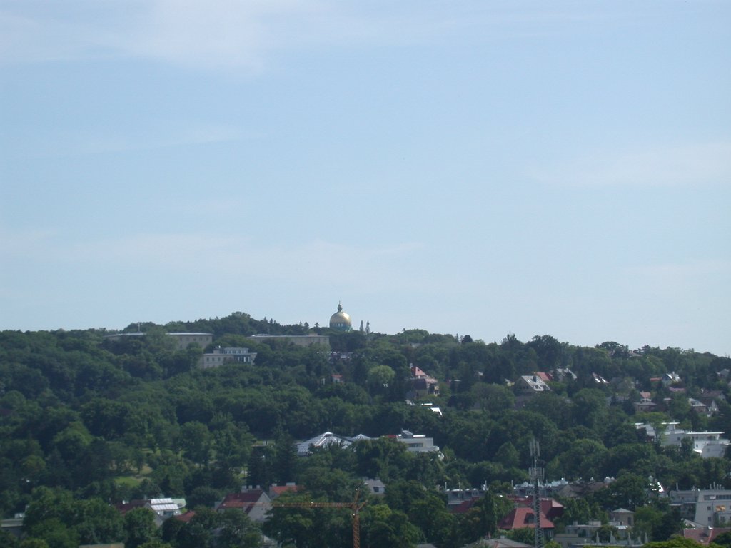 DSCN6265.JPG