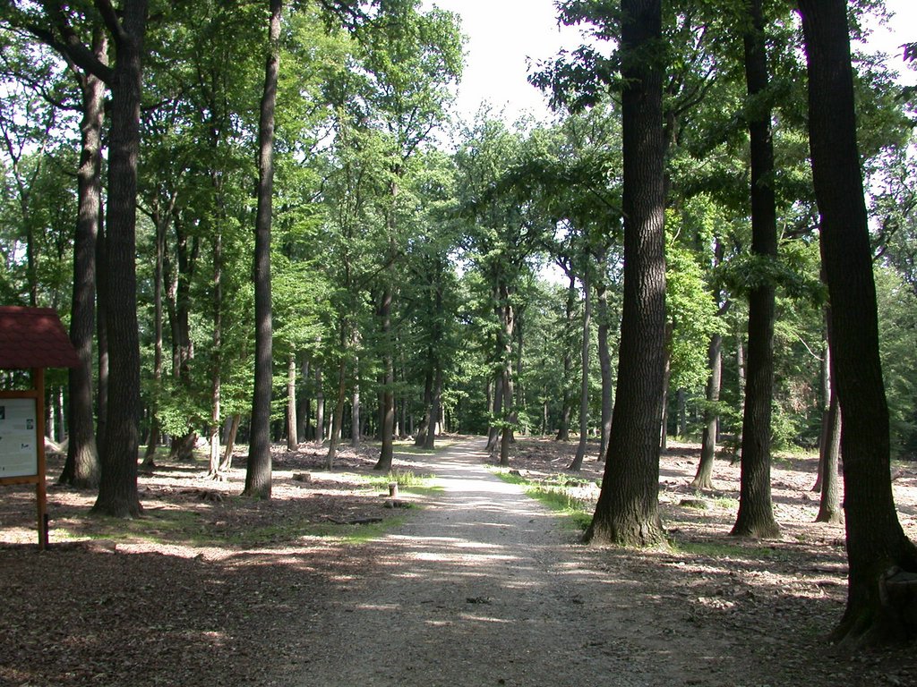DSCN6267.JPG