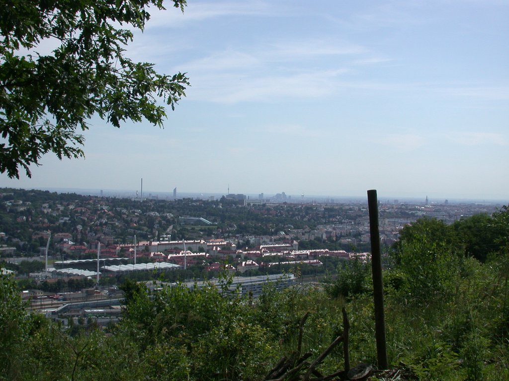 DSCN6268.JPG
