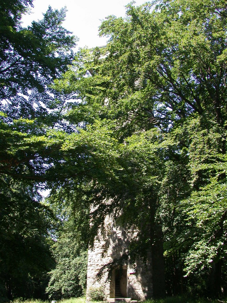 DSCN6279.JPG
