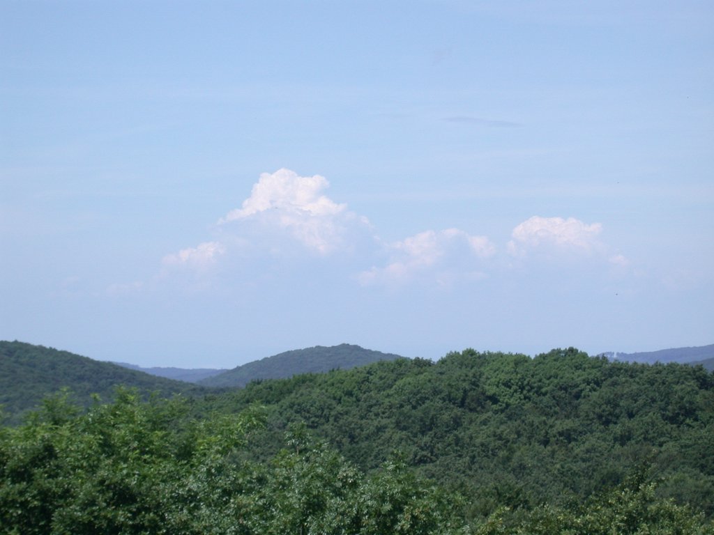 DSCN6281.JPG
