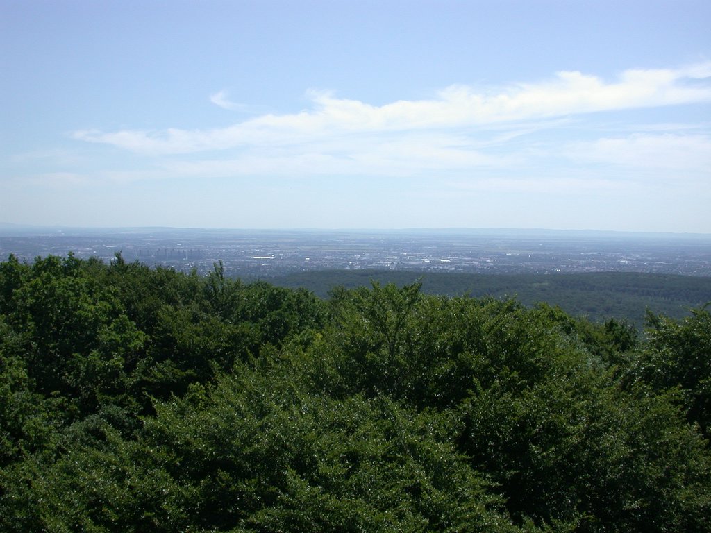 DSCN6284.JPG