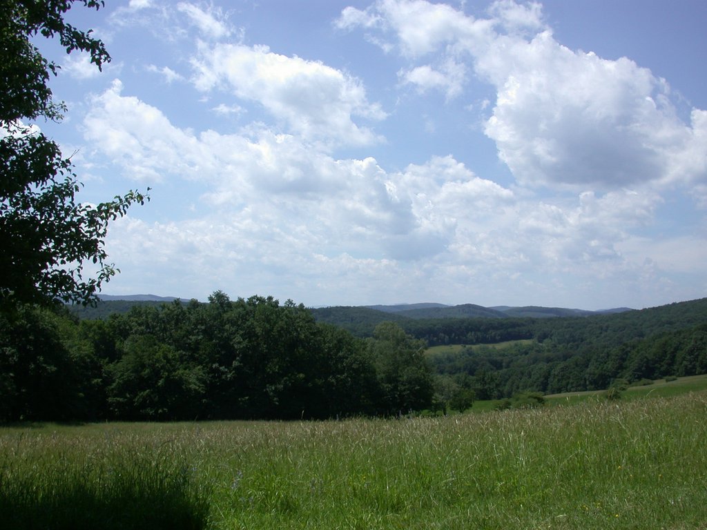 DSCN6288.JPG