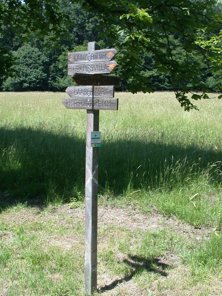 DSCN6290.JPG
