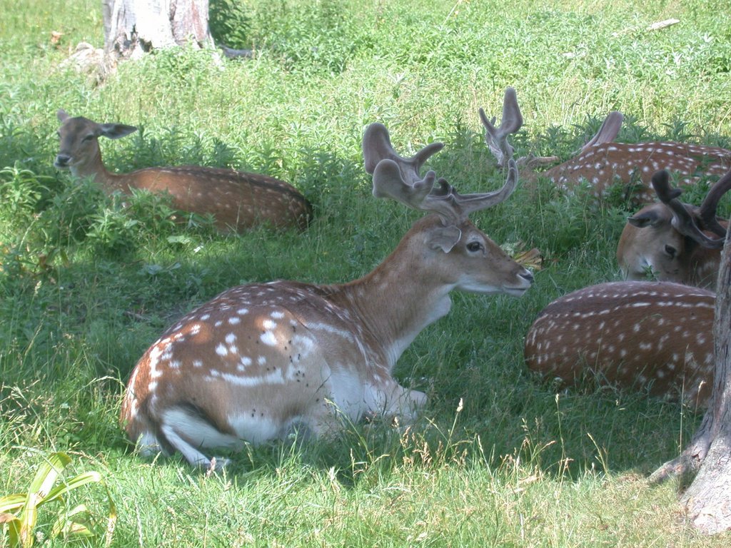 DSCN6303.JPG