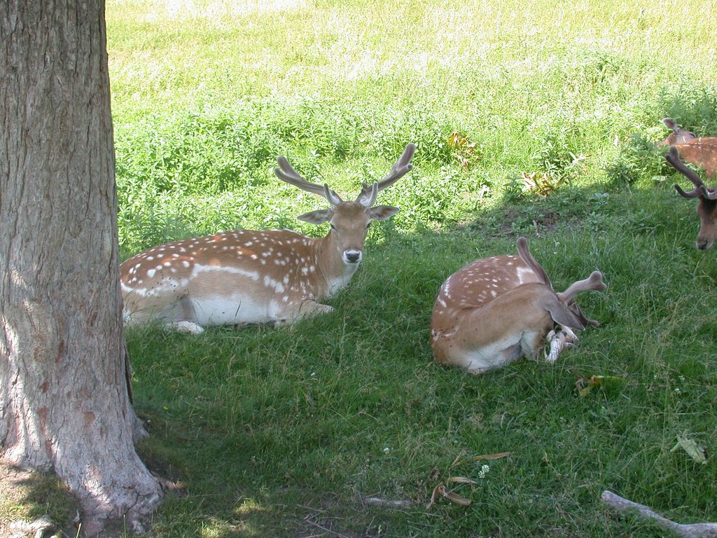 DSCN6305.JPG