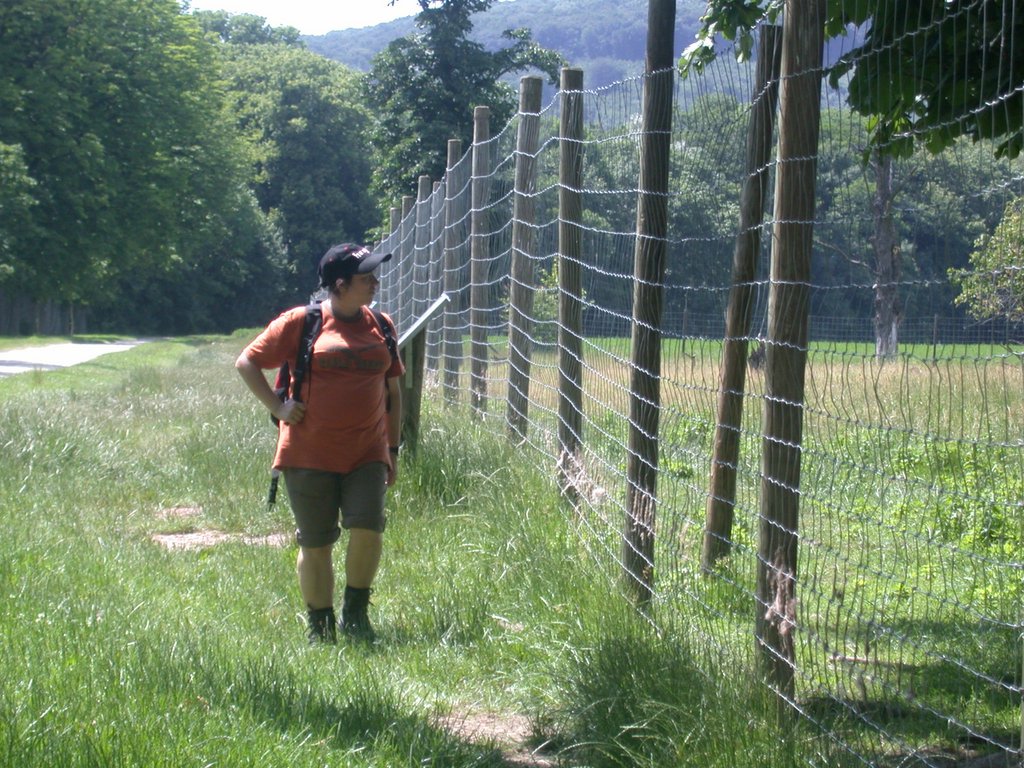 DSCN6309.JPG