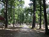 DSCN6267.JPG