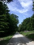 DSCN6273.JPG