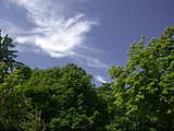 DSCN6278.JPG
