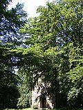 DSCN6279.JPG