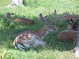 DSCN6303.JPG