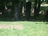 DSCN6307.JPG