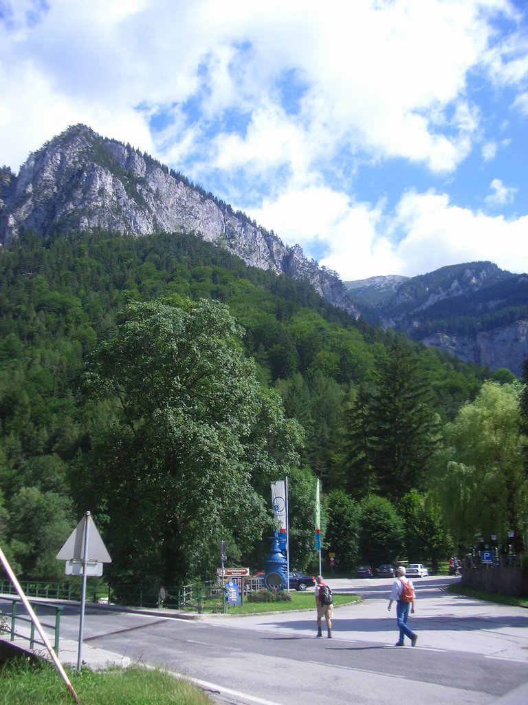 CIMG6523.JPG