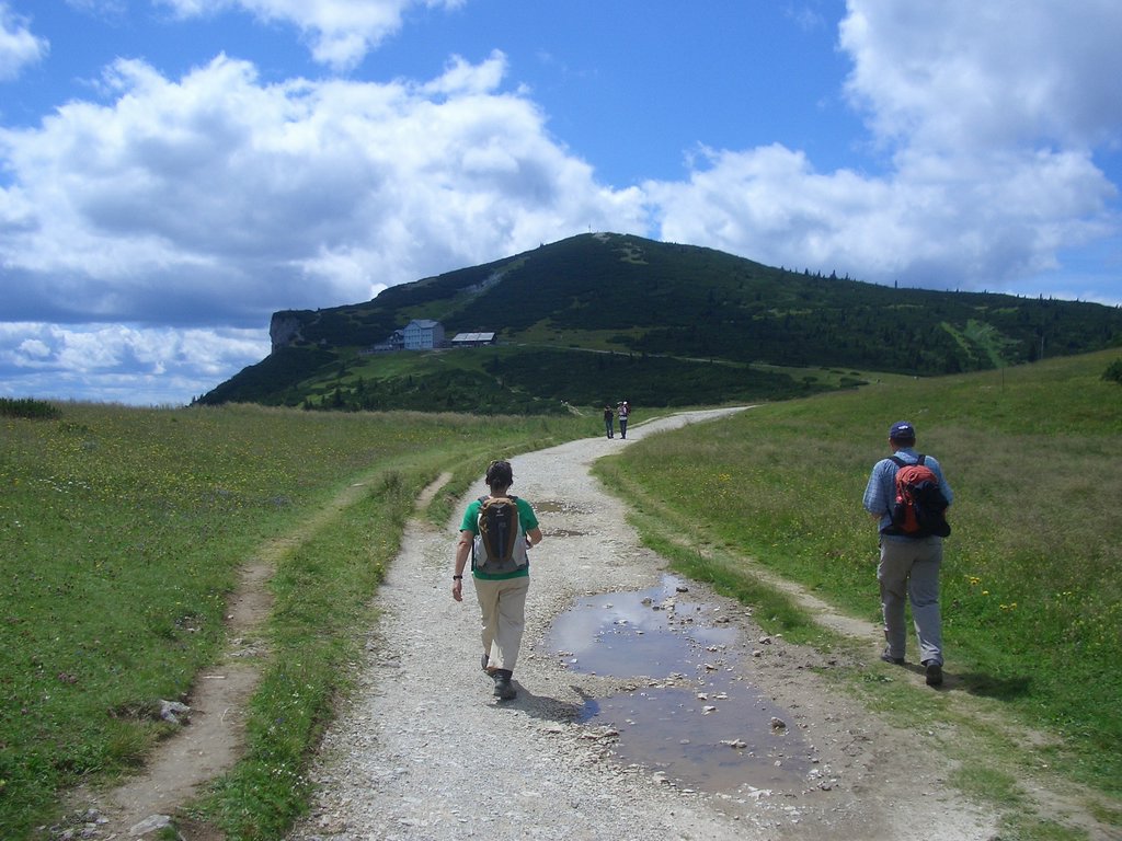 CIMG6552.JPG