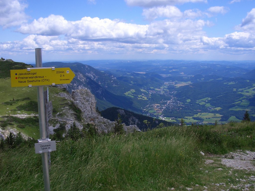 CIMG6556.JPG
