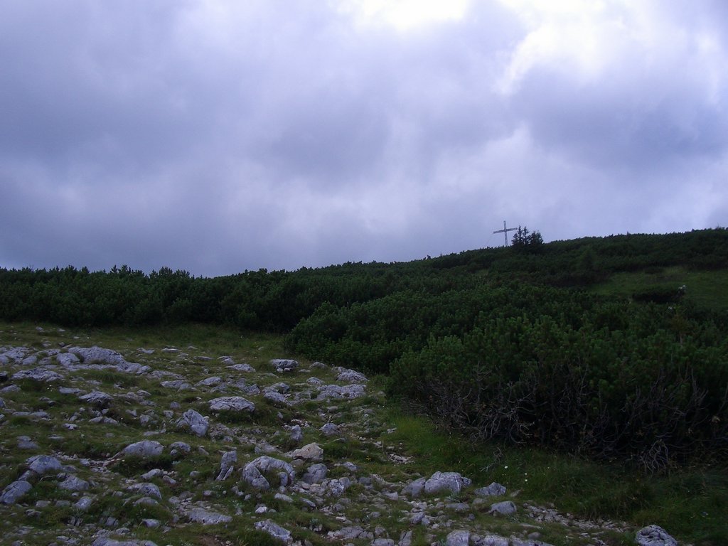 CIMG6559.JPG