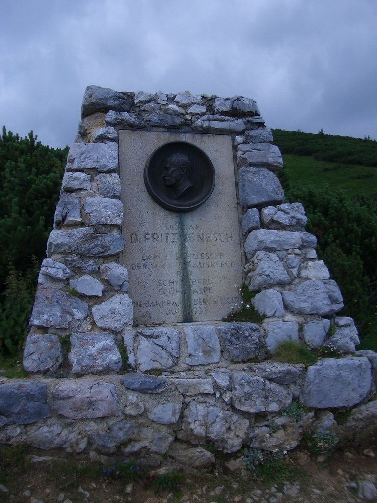 CIMG6566.JPG