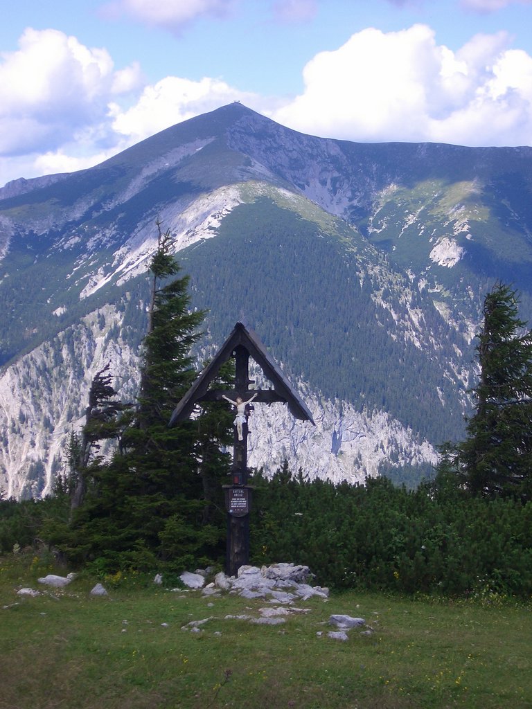 CIMG6572.JPG