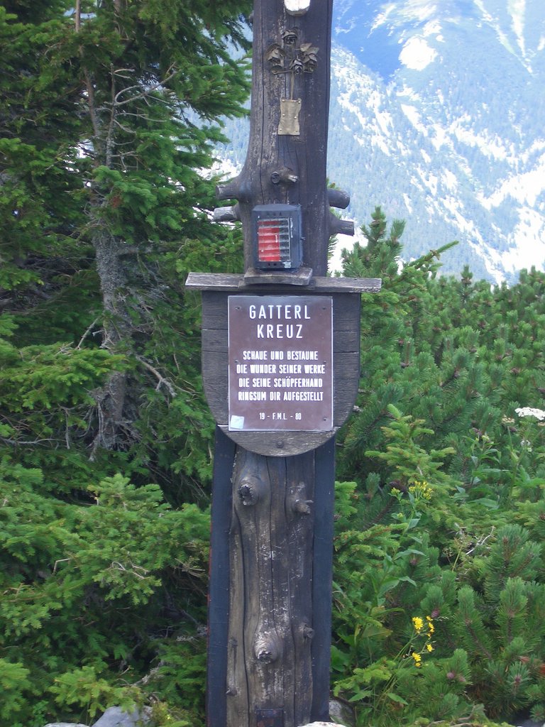 CIMG6573.JPG